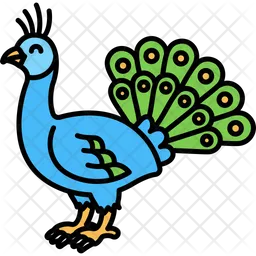 Peacockpeacock  Icon