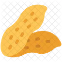 Peanut Nut Dry Icon