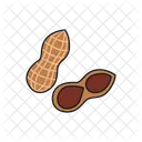 Peanut Food Healthy Icon