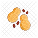 Peanut Nut Dry Fruit Icon