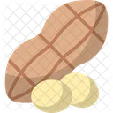 Peanut Nuts Legumes Icon