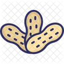 Peanut Nut Dry Fruit Icon