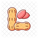 Peanut Nut Food Icon