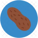 Peanut Nut Ground Icon