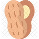Peanut Nutshell Nut Icon