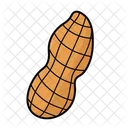 Peanut Full  Icon