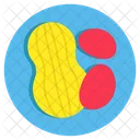 Peanut Dry Fruits Food Icon