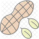 Peanut Lineal Color Icon Icon