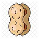 Peanut Dry Fruit Icon