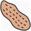 Food Peanut Dry Fruit Icon