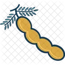 Peanut Nut Dry Fruit Icon