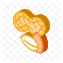 Peanut Nuts  Icon