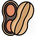 Peanuts  Icon