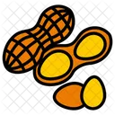 Peanuts Food Nut Icon