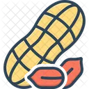 Peanuts Groundnut Earthnut Icon