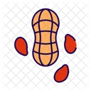 Peanuts Food Healthy Icon