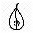 Pear  Icon