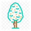 Pear Tree  Icon