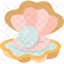 Pearl Shell Sea Icon