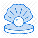 Pearl  Icon