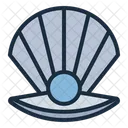 Pearl Shell Ocean Icon