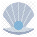 Pearl Shell Ocean Icon