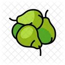Pears Bunch Pears Green Pears Icon