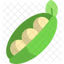 Peas Vegetable Veggie Icon