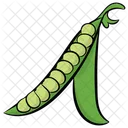 Green Beans Beans Peas Icon