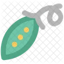 Peas Seeds Pea Icon