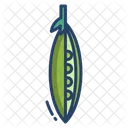 Peas Vegetarian Vegetable Icon