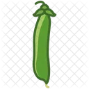 Peas Husk Vegetable Icon