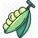 Peas Bean Vegetable Icon