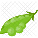 Peas Green Indian Icon