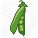 Peas Vegetable Husk Icon