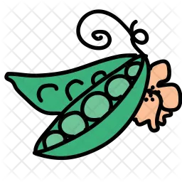 Peas  Icon