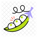 Legume Peas Organic Food Icon
