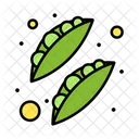 Peas Beans  Icon