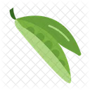 Peas Food Vegetable Icon