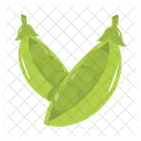 Fresh Food Green Icon