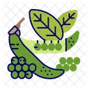 Peas Icon
