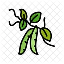 Peas Plant  Icon