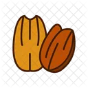 Pecan Nut Shell Icon