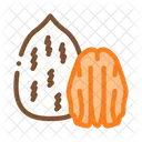 Pecan Nut Food Icon
