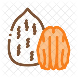 Pecan Nut  Icon