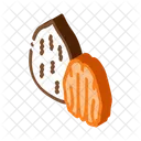 Pecan Nut Food Icon