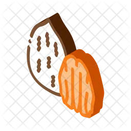 Pecan Nut  Icon