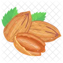 Pecan Nuts  Icon