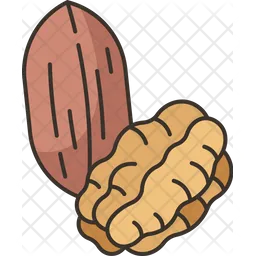 Pecans  Icon