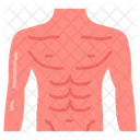 Pecho  Icono